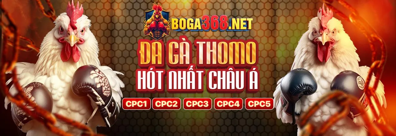 Đá gà a8bet – Trận đấu kịch tính đang diễn ra